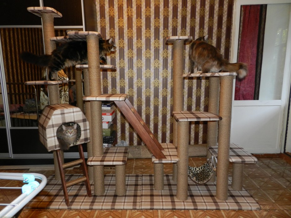 Cat Studio мебель для кошек