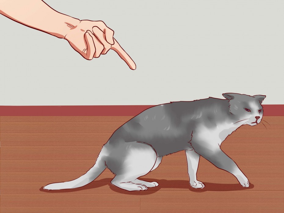 Кошка ходит пригнувшись