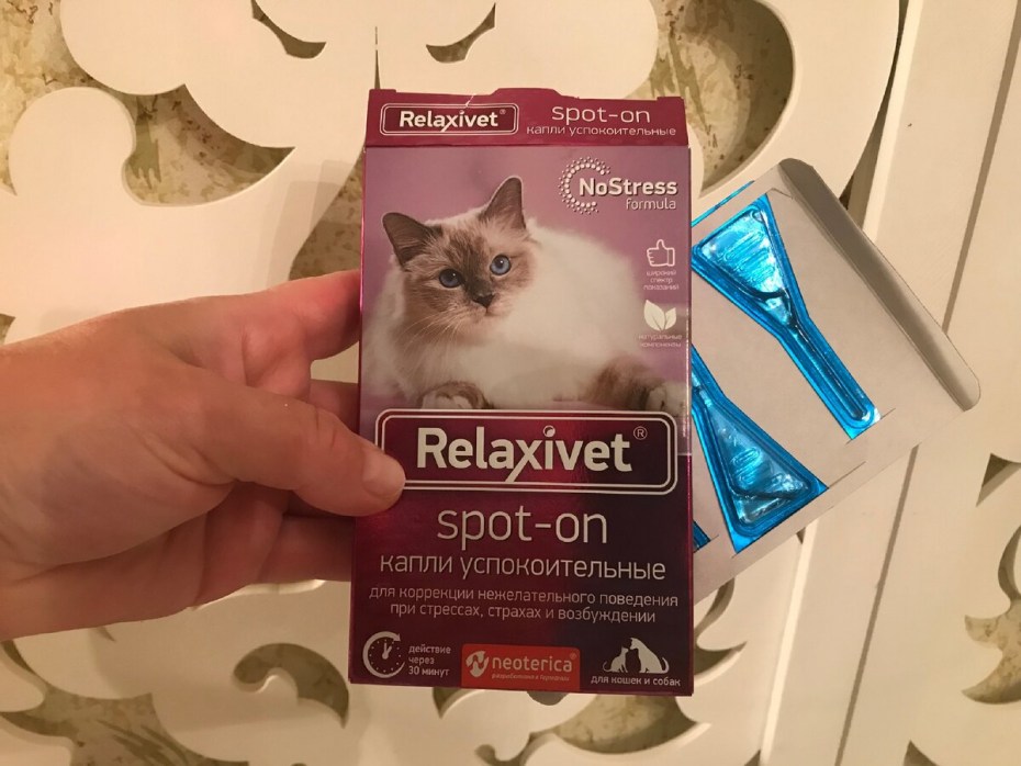 Записки заводчика кошек