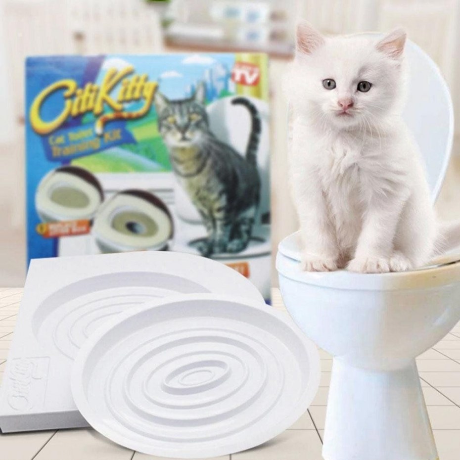 Кот какает в лоток
