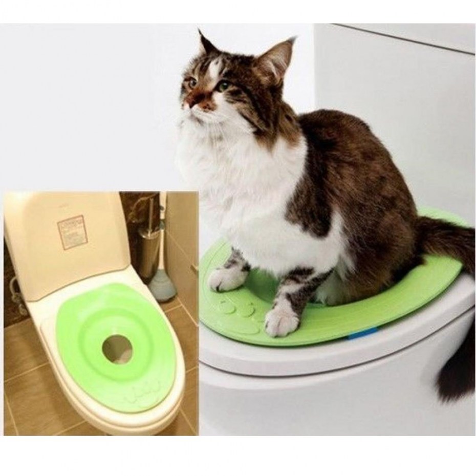 Сиденье для кота на унитаз