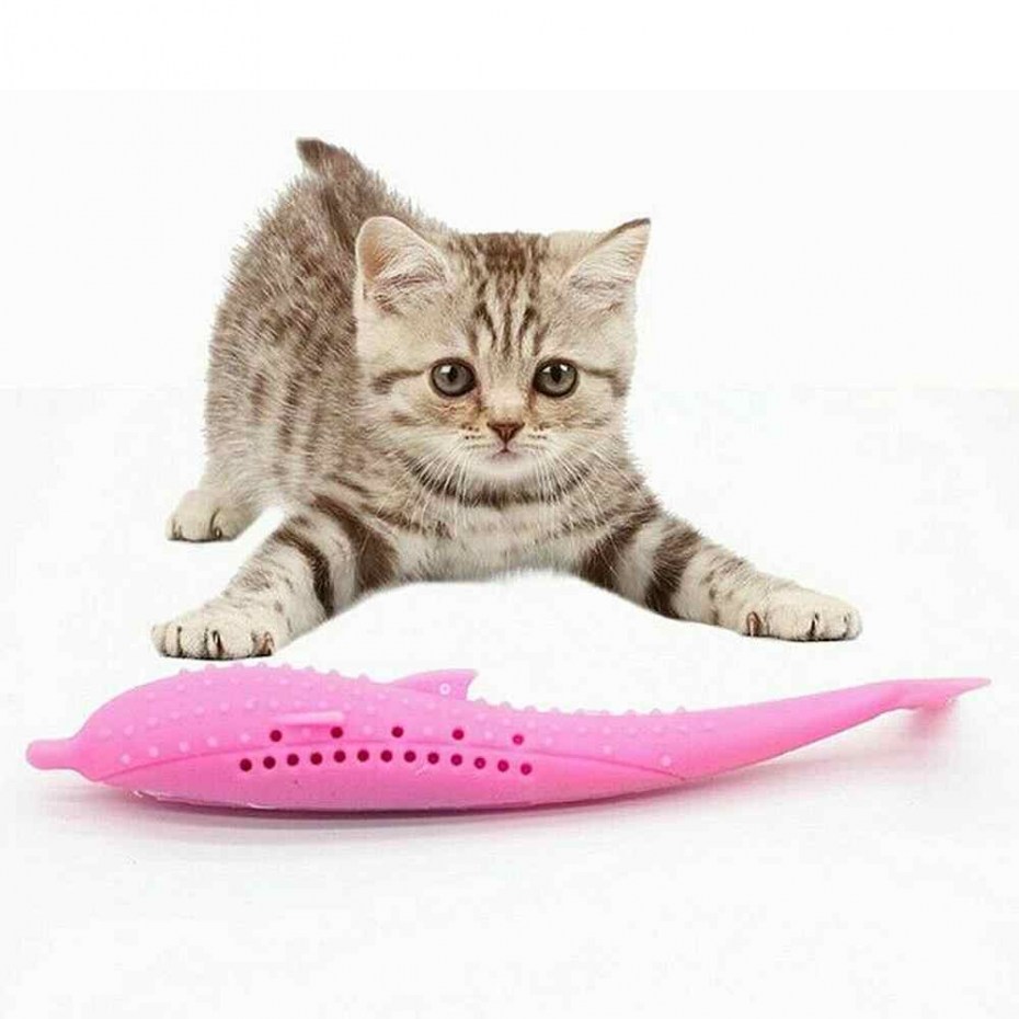 Игрушки для котят для зубов