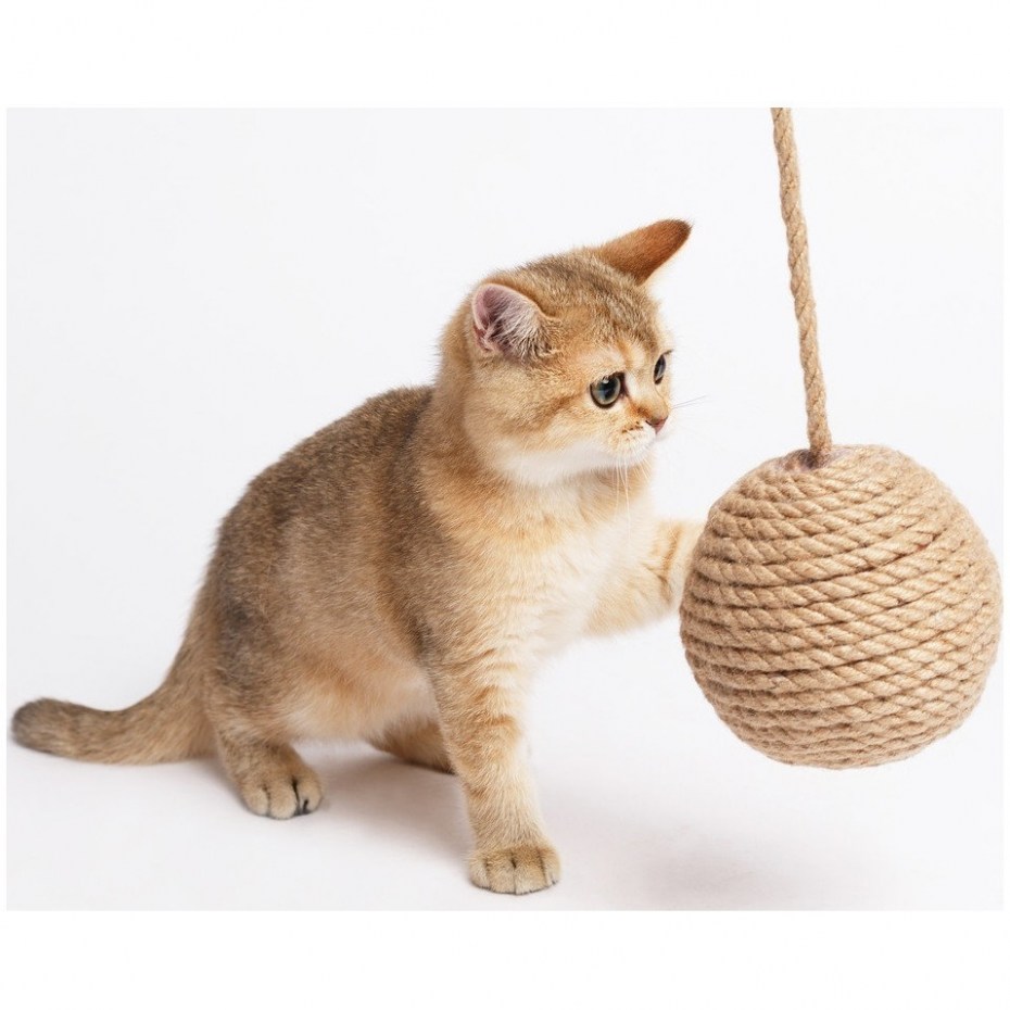 PETSIKI когтеточка динамическая клубок