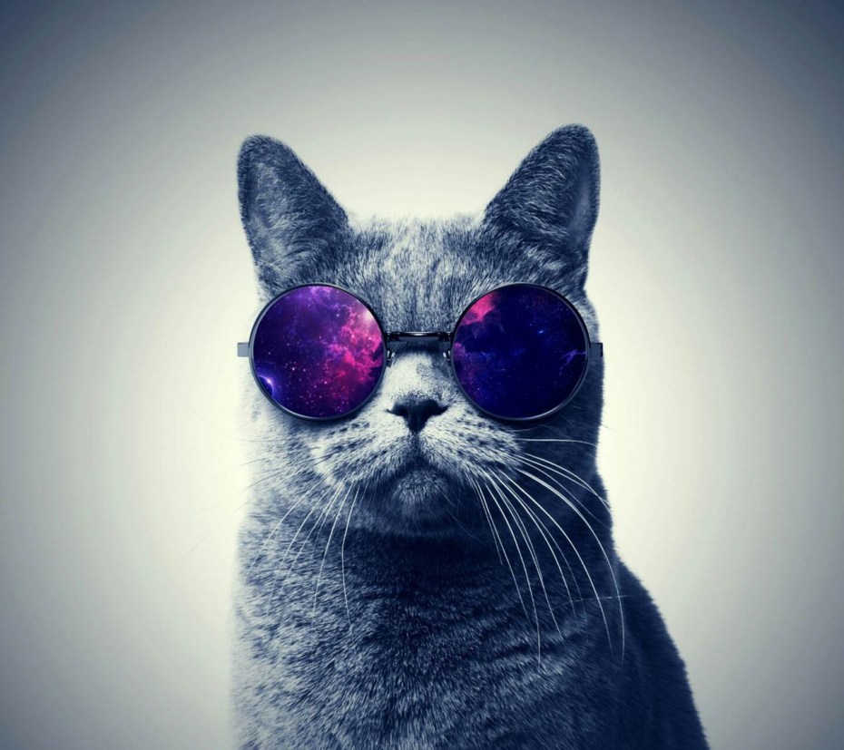 Аватар кот в очках