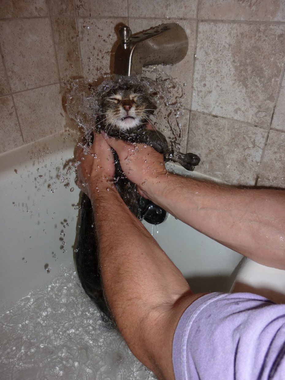 Под струей воды