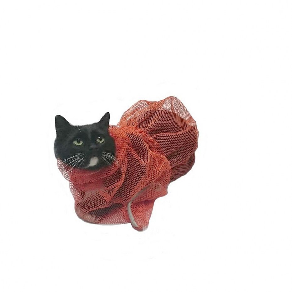 Сумка для купания кошек