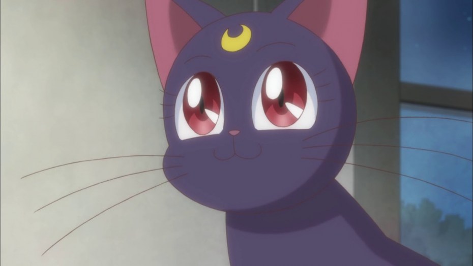 Sailor Moon Луна кошка Art