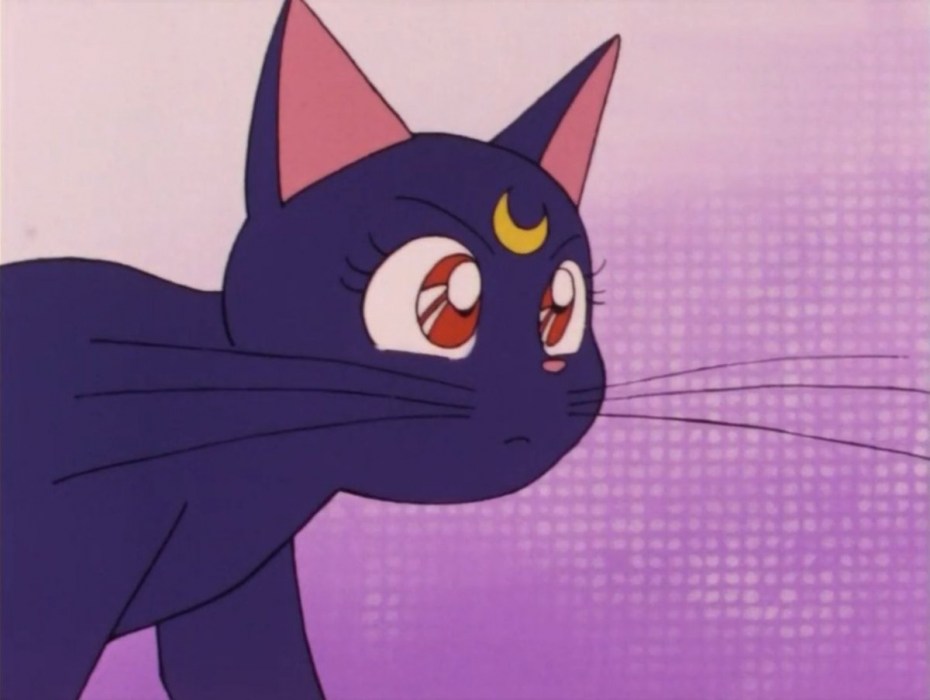 Sailor Moon Луна кошка