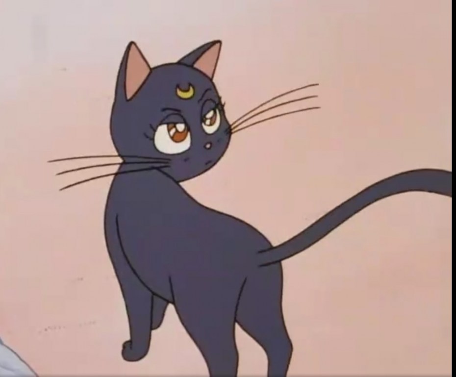 Sailor Moon Луна кошка