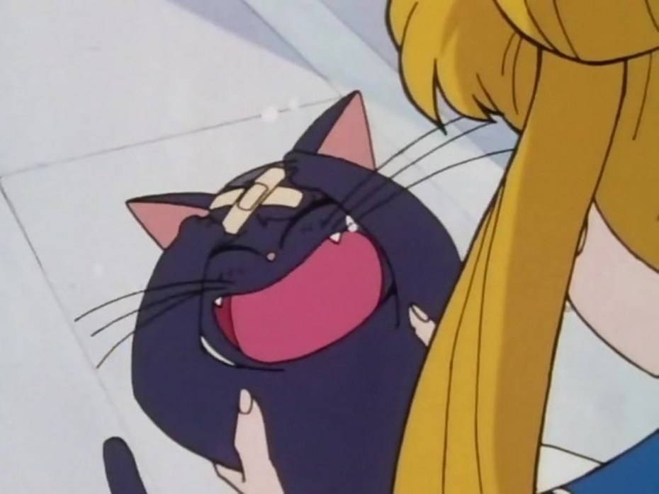 Sailor Moon Луна кошка