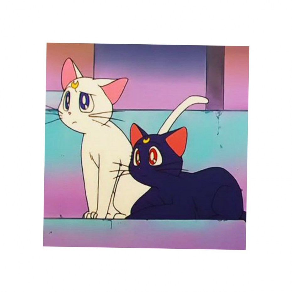 Луна сейлормун кошка