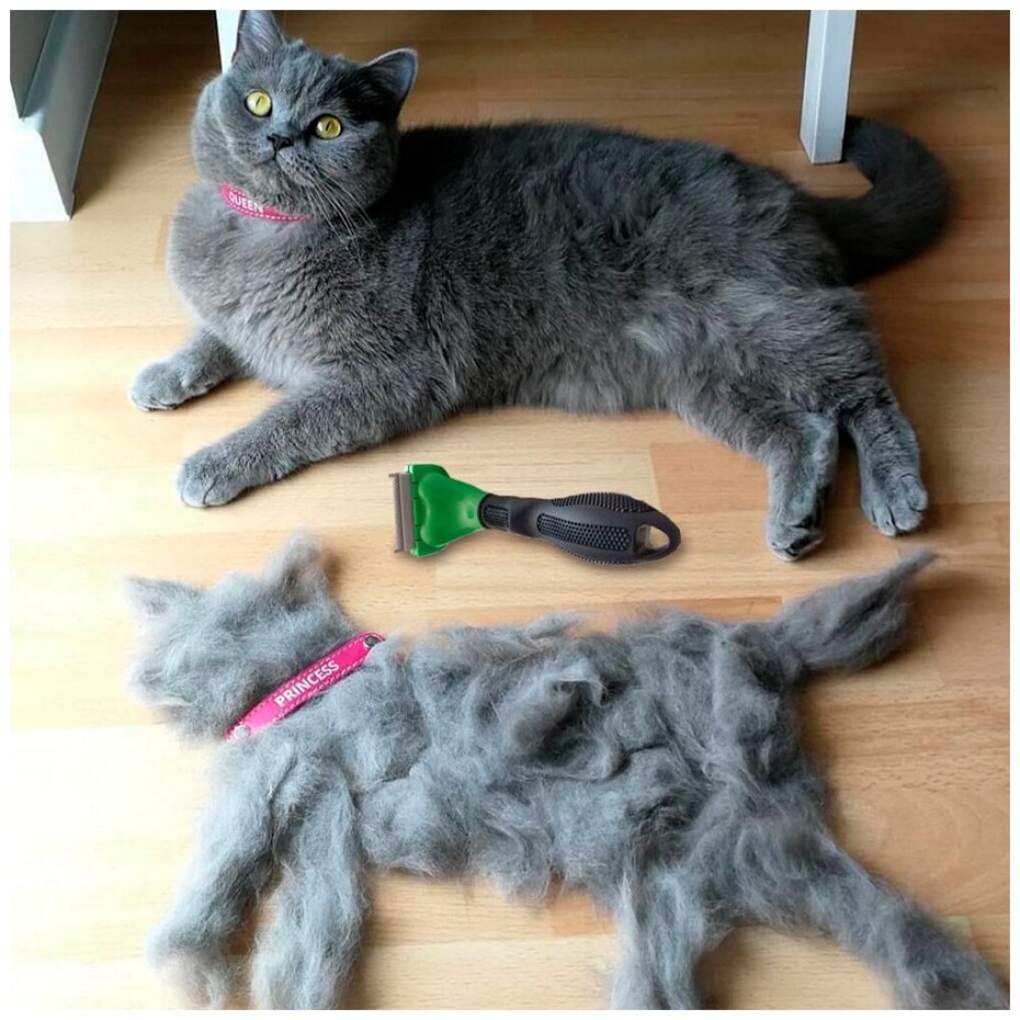 Шерсть кошки