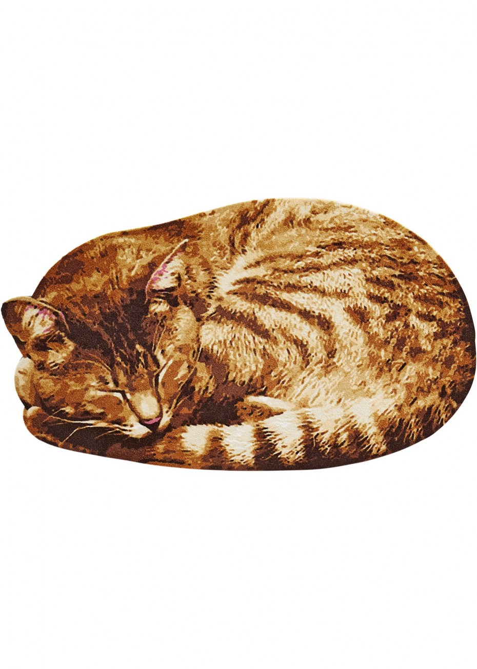Кошка на ковре
