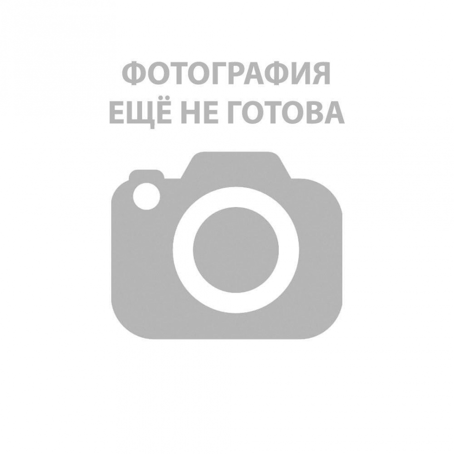 Кошечка в пути