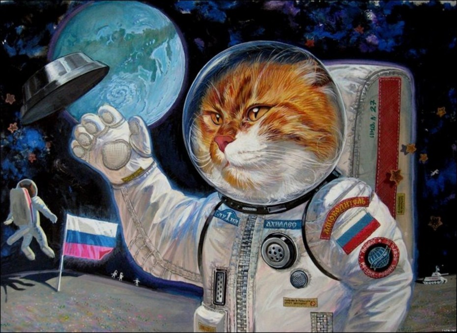 Кот космонавт
