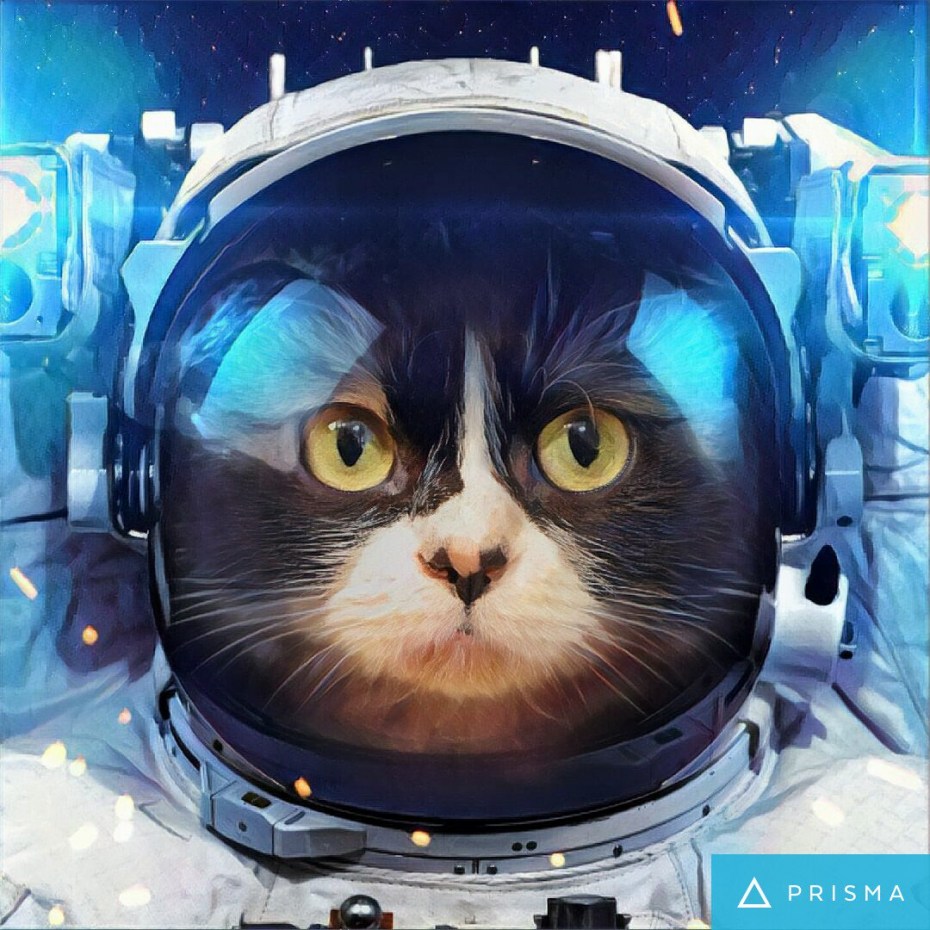 Кот космонавт