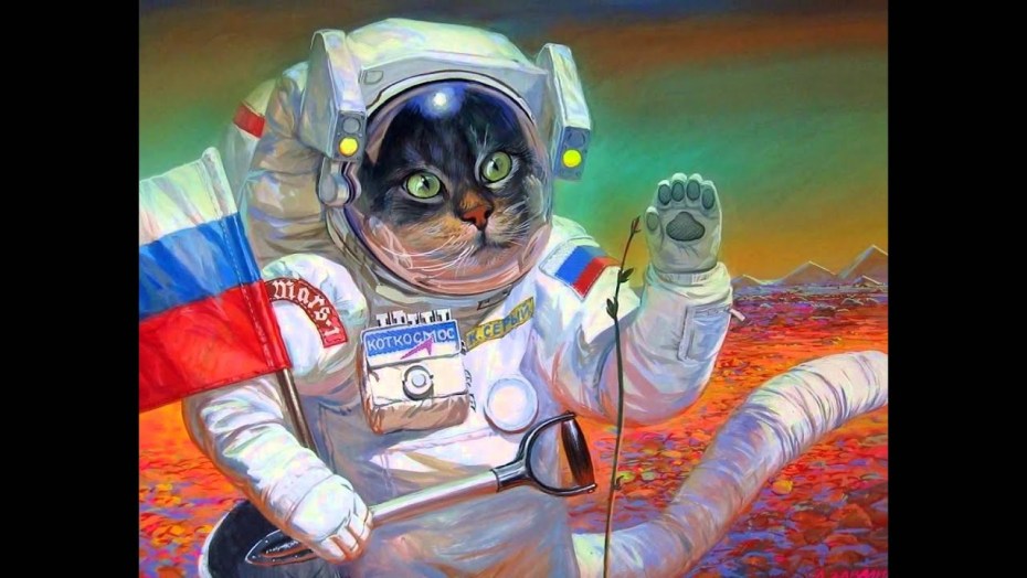Коты в космосе