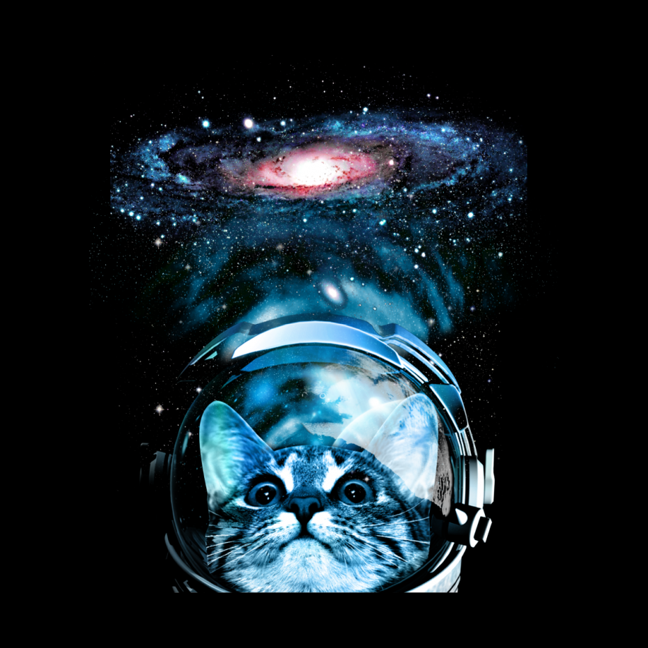 Кот космонавт арт