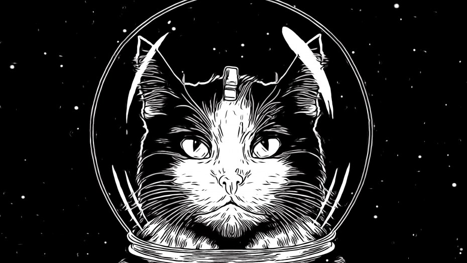 Кот в костюме Космонавта