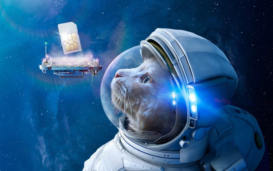 Мультяшные котики космонавты