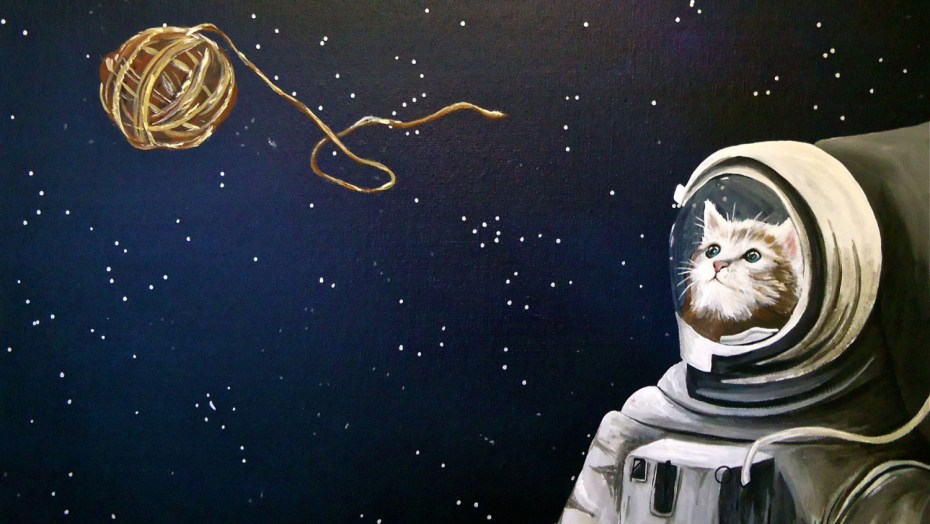 Кот космонавт