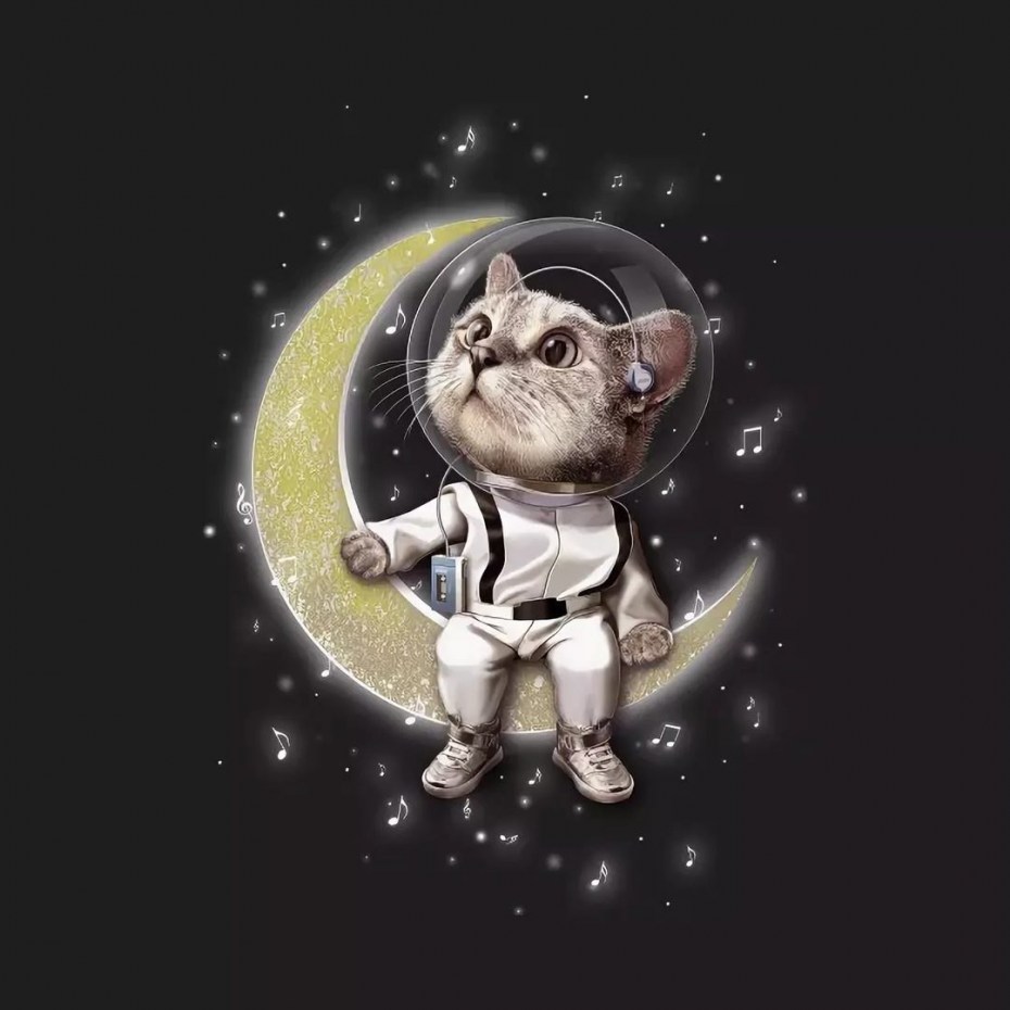 Кот в скафандре