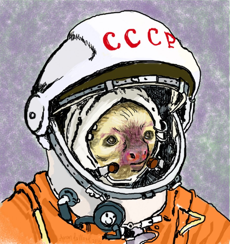 Кот и собак космонавты