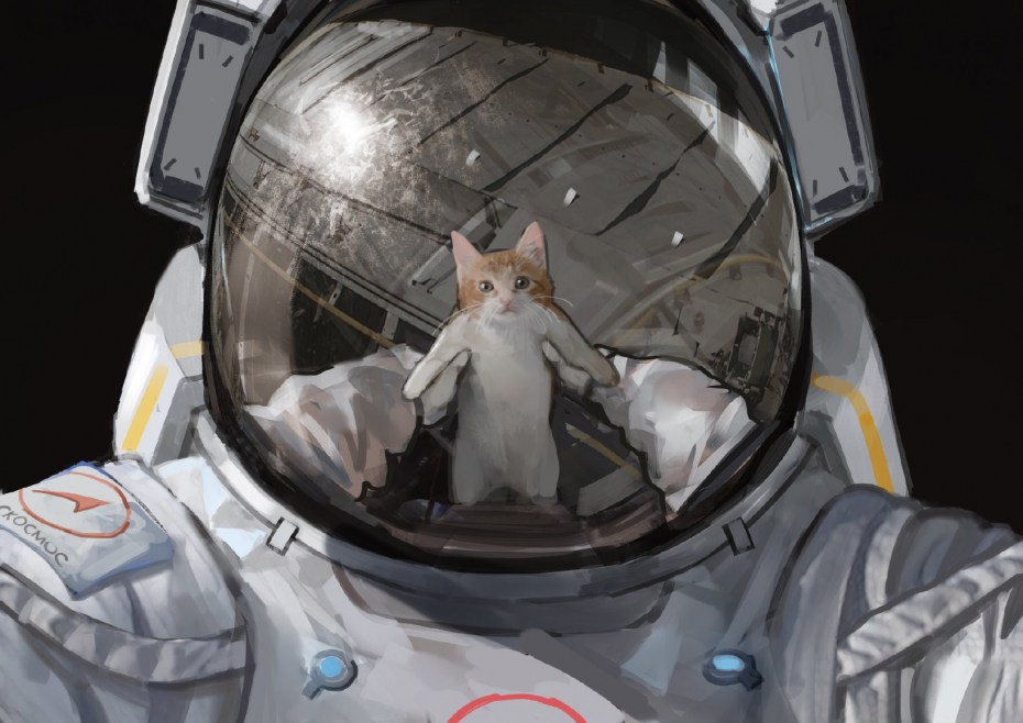 Кот космонавт