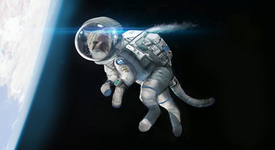 Котенок космонавт