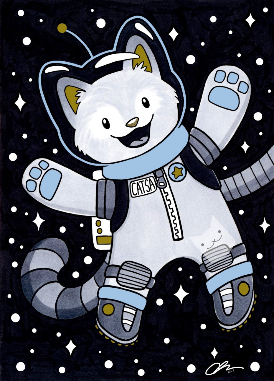 Кот на ракете