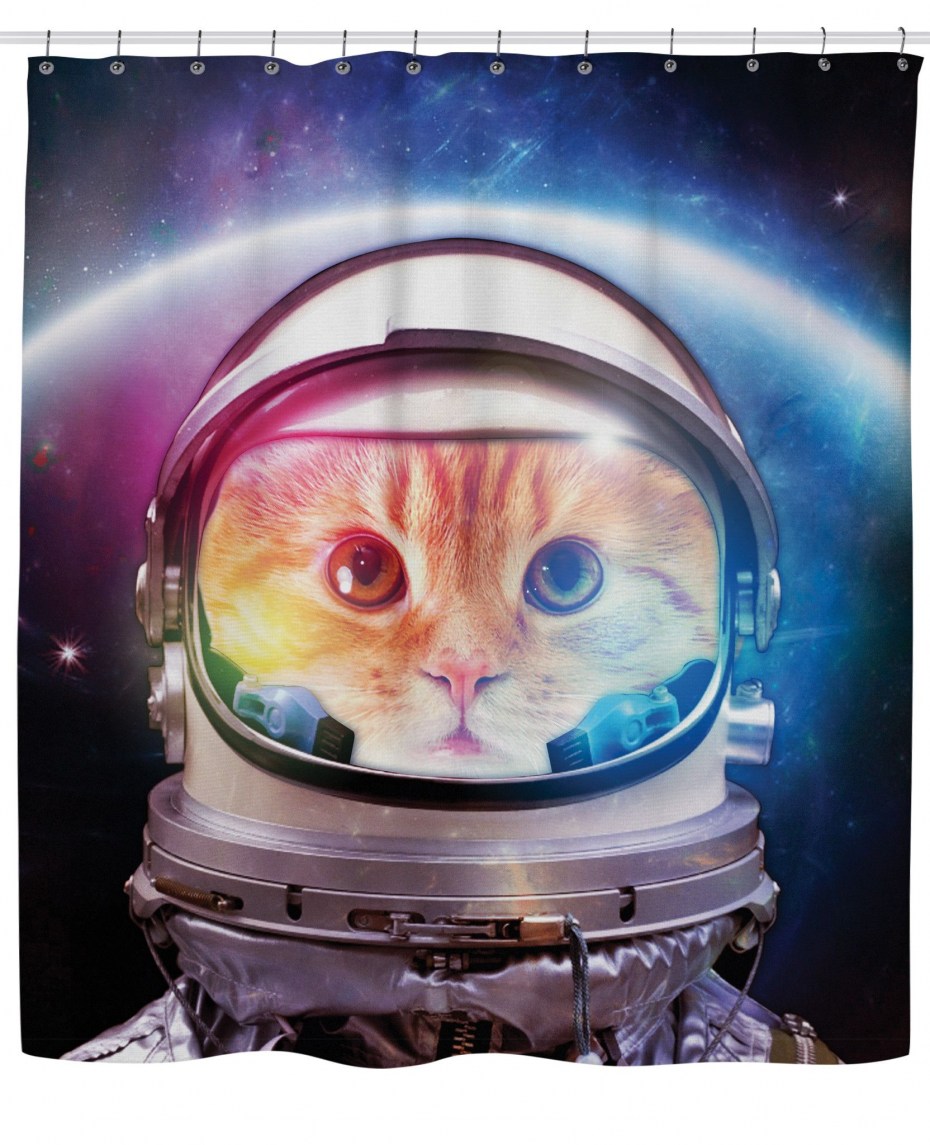 Кот космонавт поехали