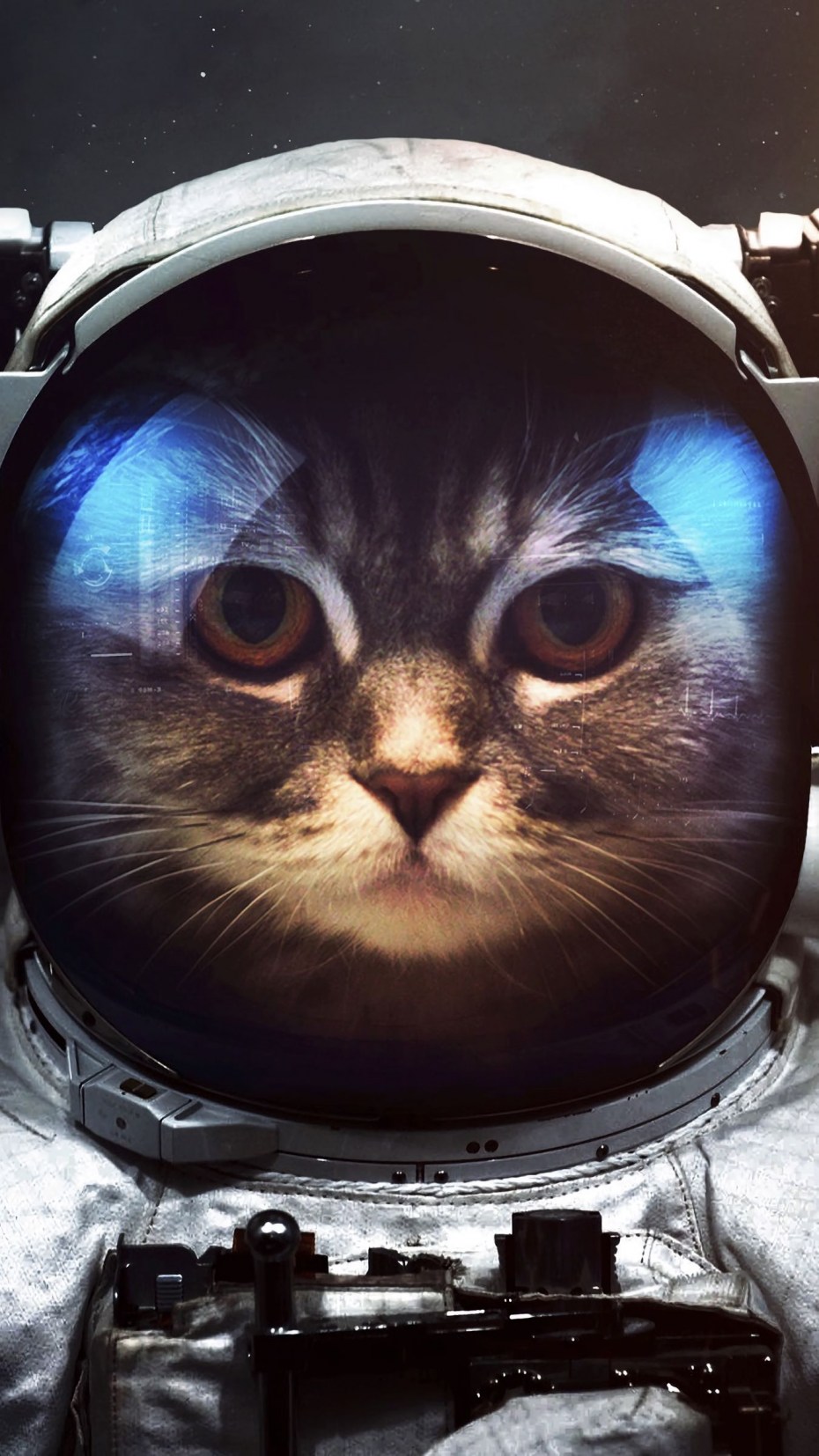 Кот космонавт