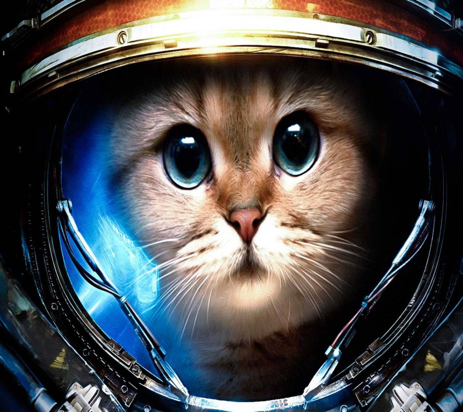 Кот в костюме Космонавта