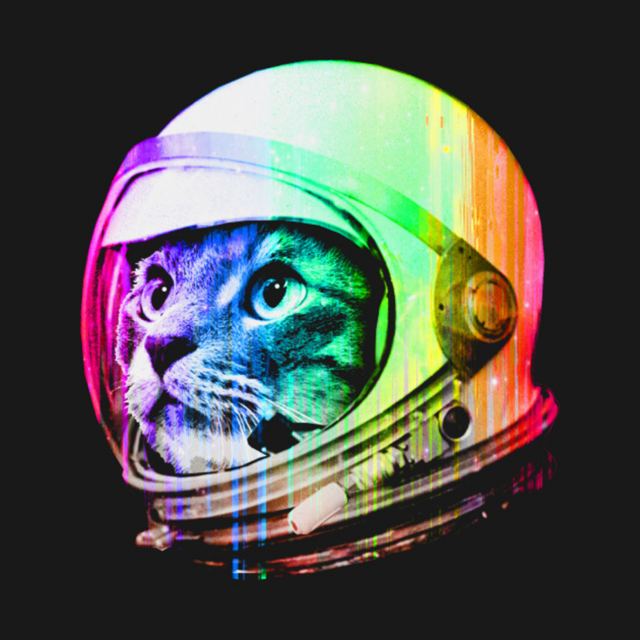 Кошка Фелисетт