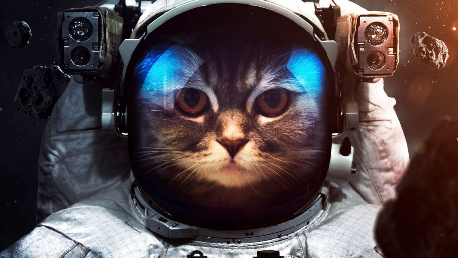 Мульт Дисней космонавт и кот