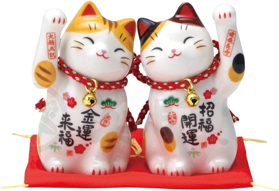 Экзотическая короткошерстная Снупи