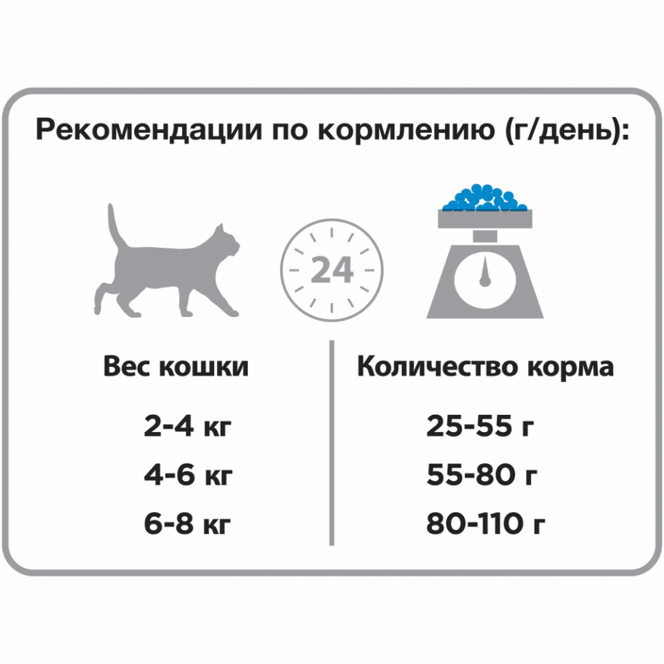 График питания кошки