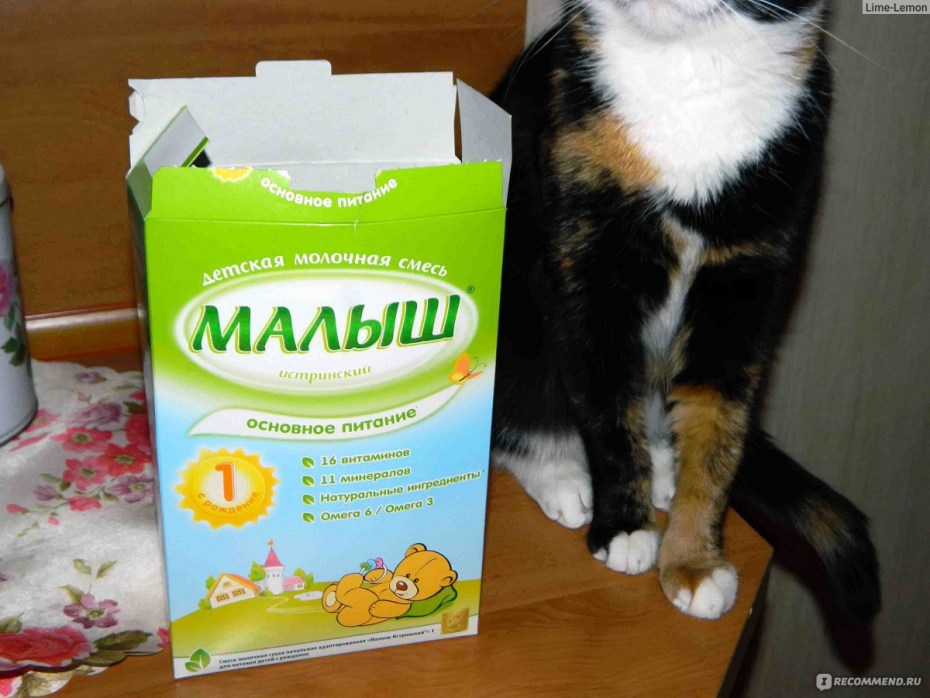 Смесь для маленьких котят