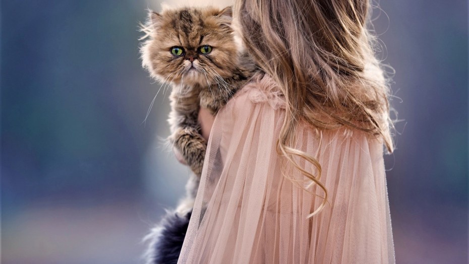 Девушка кошка
