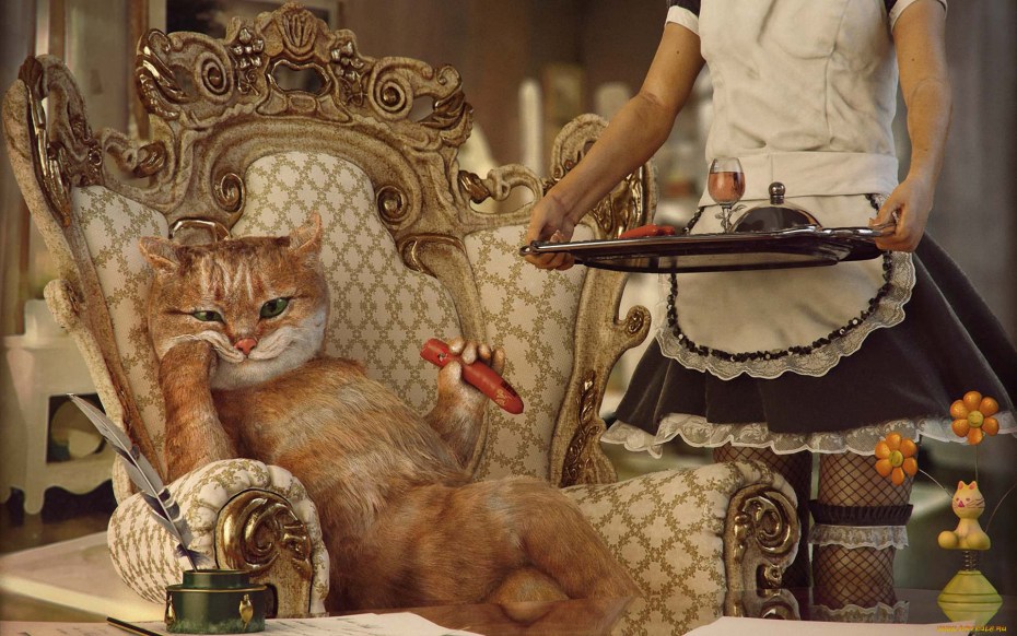 Роскошная кошка