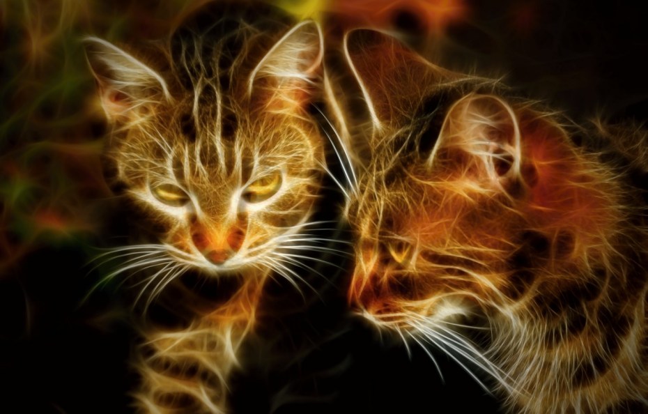 Ночной охотник пауч для котят