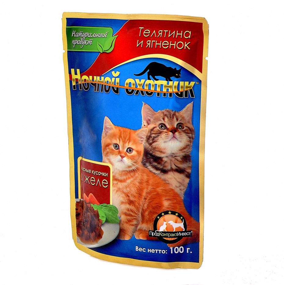 Кошка оборотень фэнтези