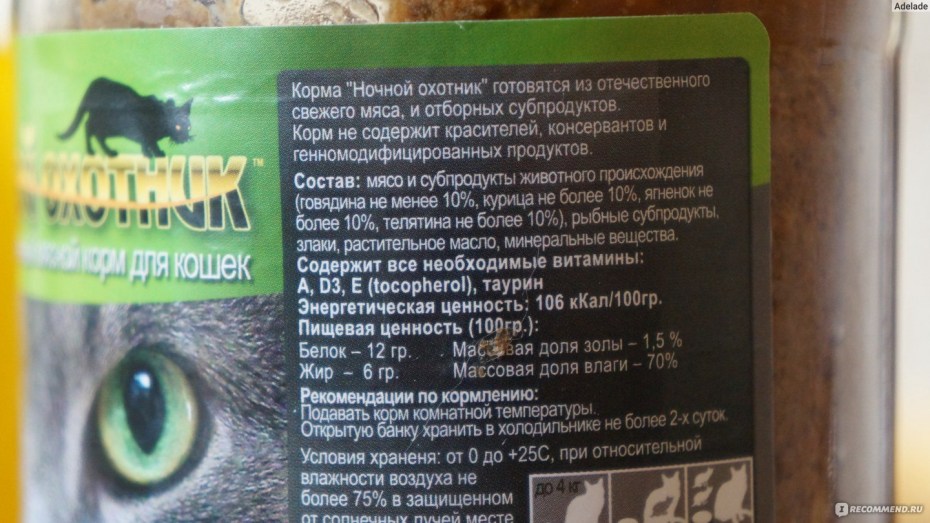 Вид вспыльчивый кошки