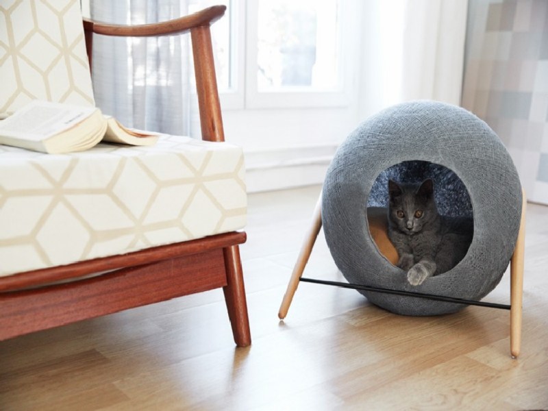 Cat Studio мебель для кошек
