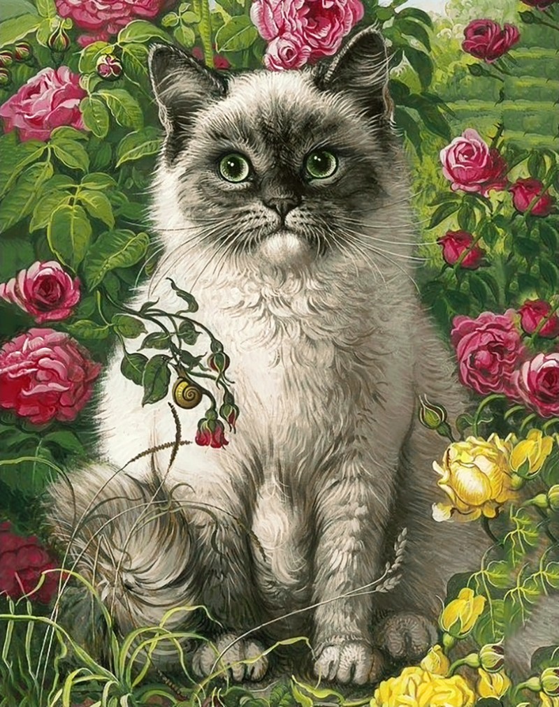 Художница Яна Мовчан кошки