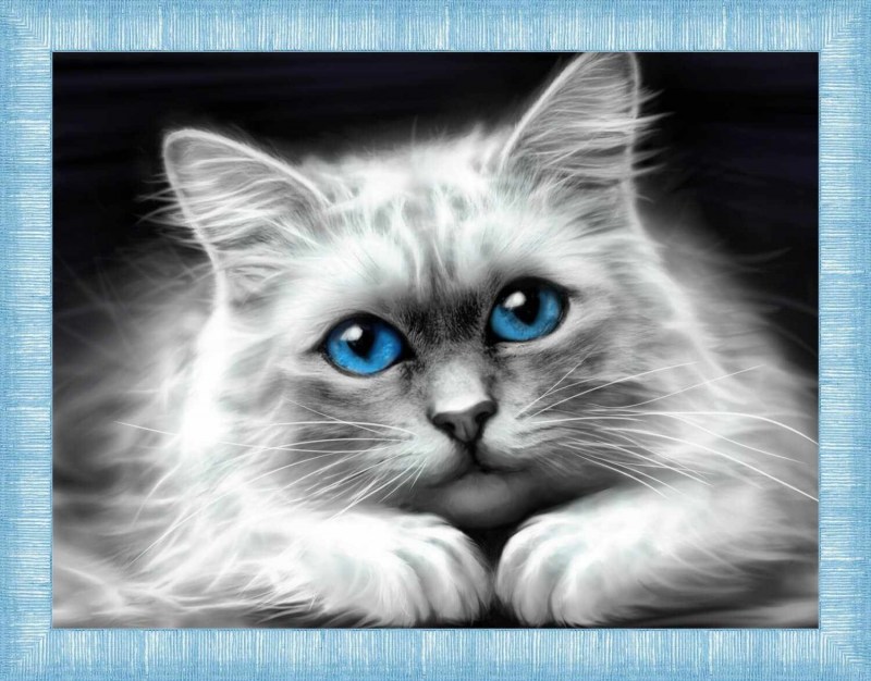 Алмазная живопись кошки