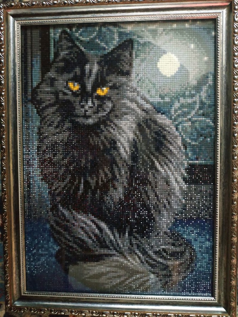 Вышивка черная кошка