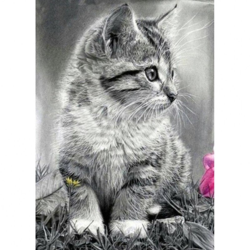 Diamond Mosaic алмазная живопись котенок