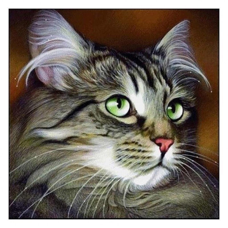 Huacan Cat алмазная вышивка