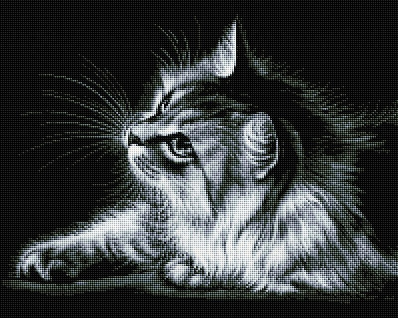 Кот для гравировки